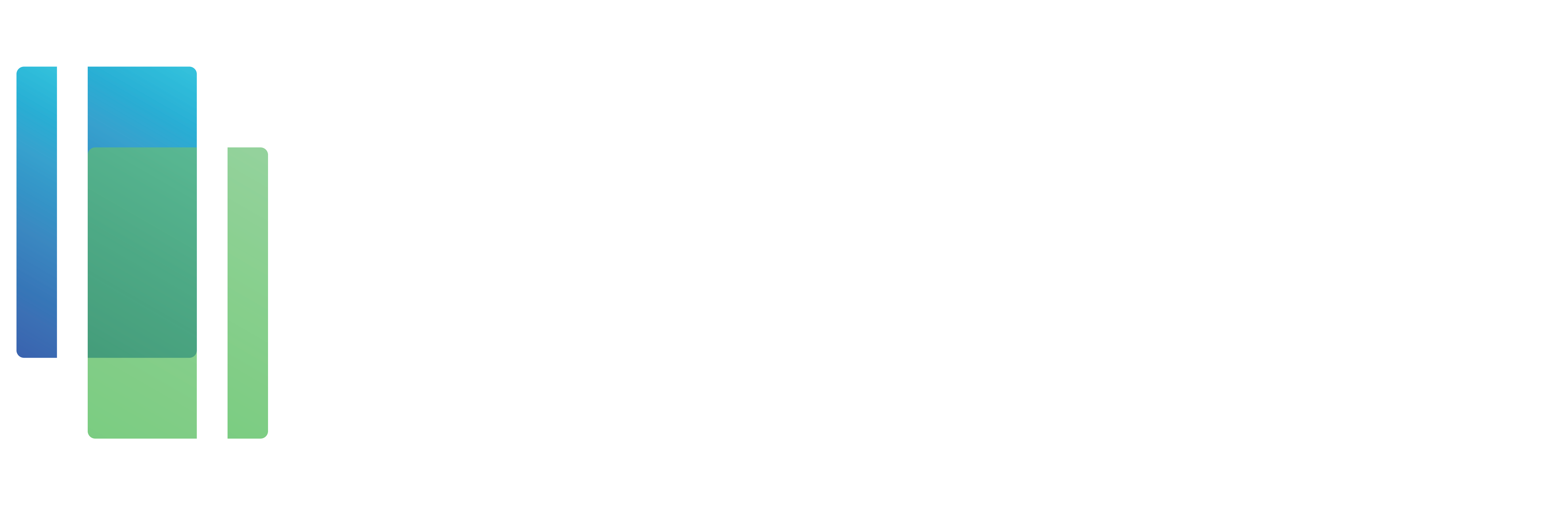 Wholesale Payments